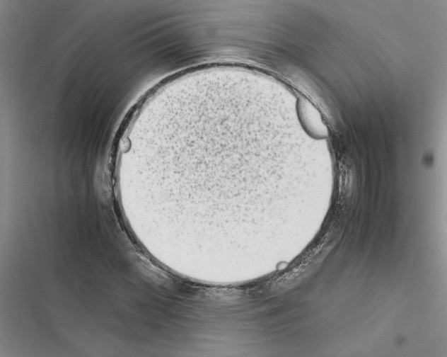 X0000116601068201001221253