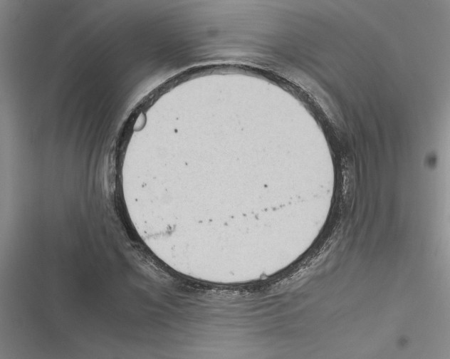 X0000116601069201001221253