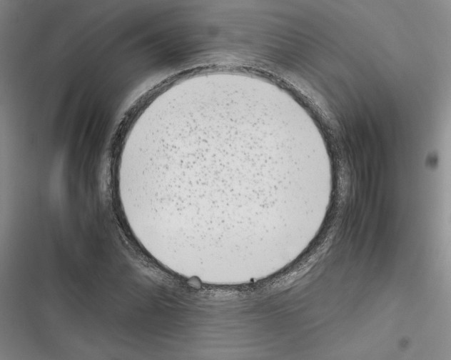X0000116601070201001221253