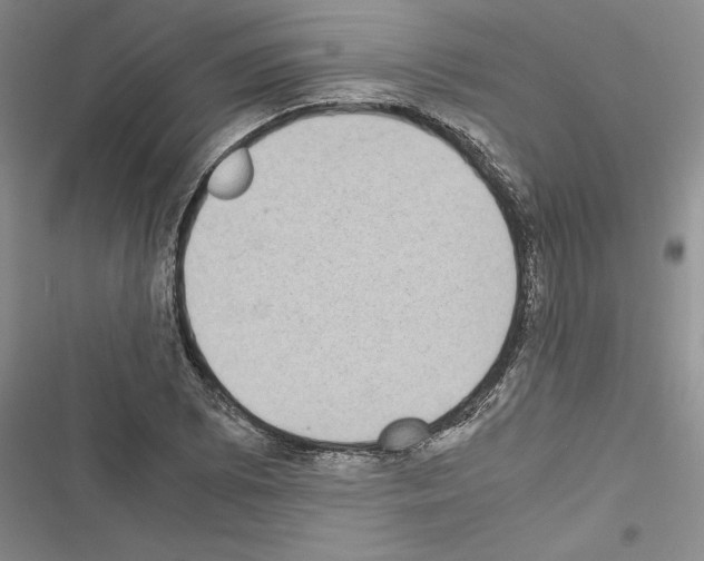 X0000116601073201001221253