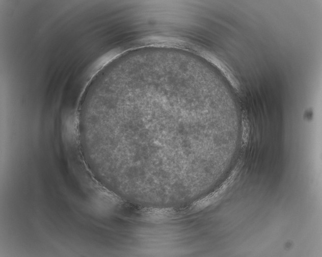 X0000116601074201001221253