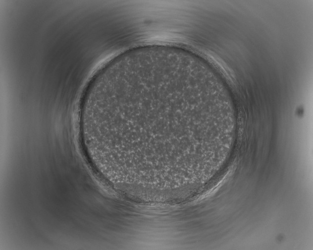 X0000116601077201001221253