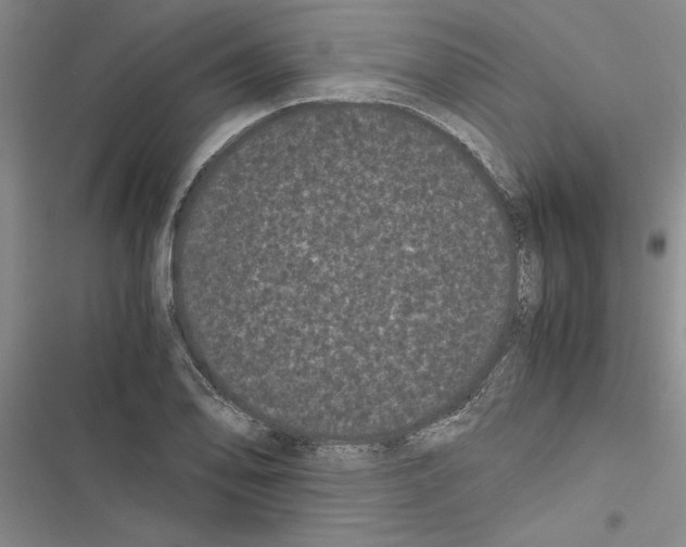 X0000116601078201001221253