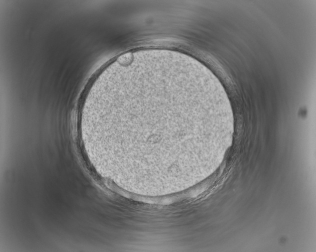 X0000116601079201001221253