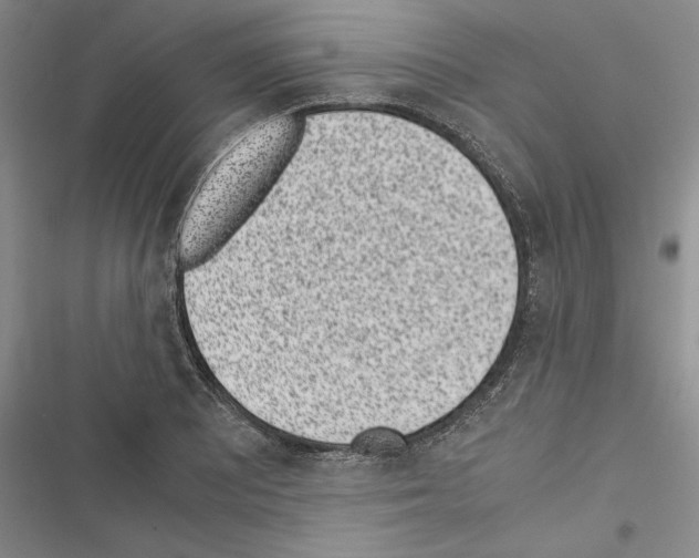X0000116601081201001221253