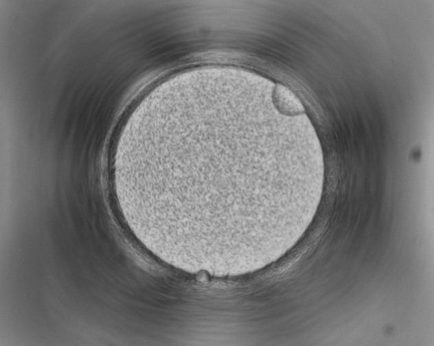 X0000116601082201001221253