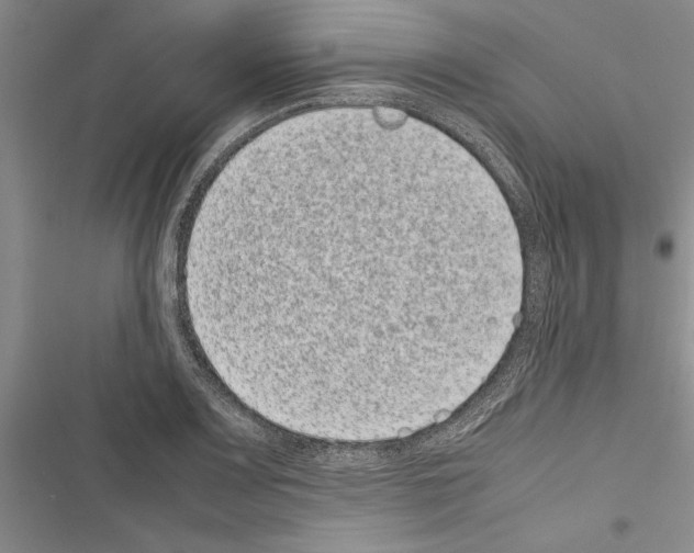 X0000116601083201001221253