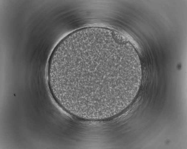 X0000116601084201001221253