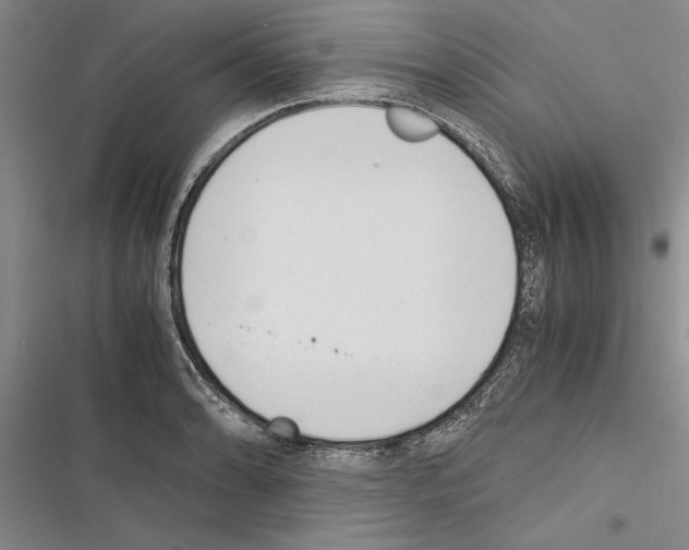 X0000116601086201001221253
