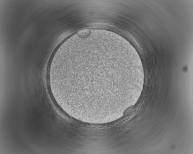 X0000116601087201001221253