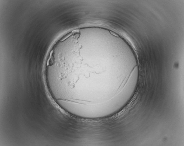 X0000116601088201001221253