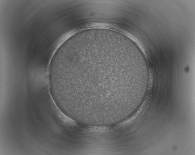 X0000116601090201001221252