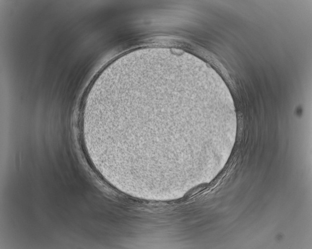 X0000116601091201001221252