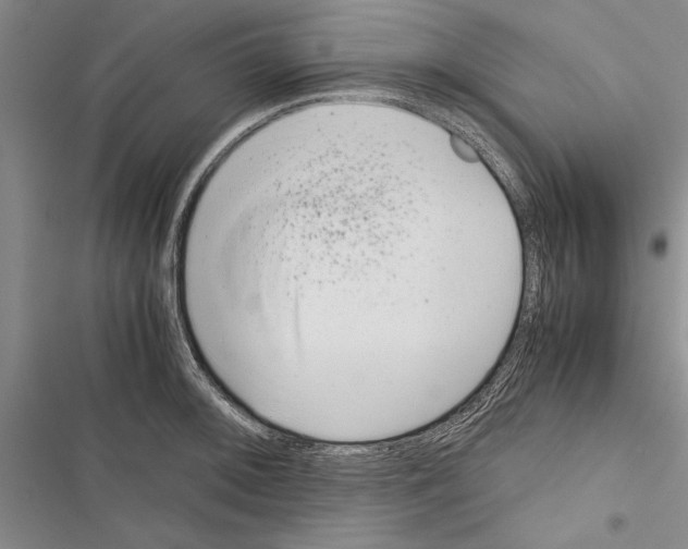 X0000116601092201001221252