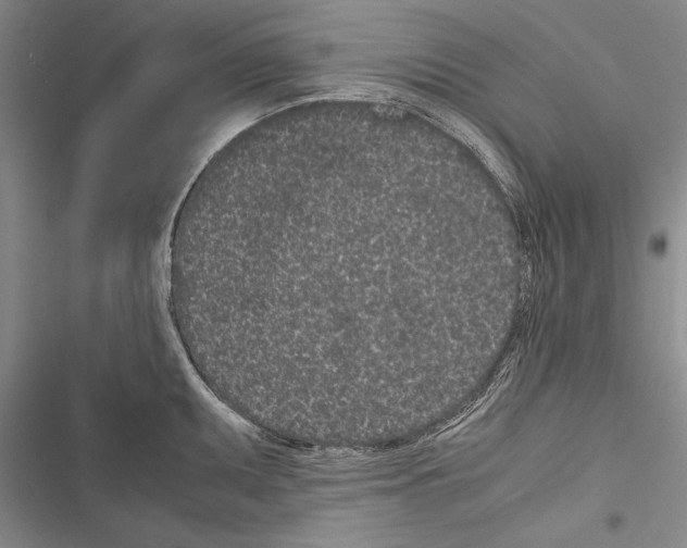 X0000116601095201001221252
