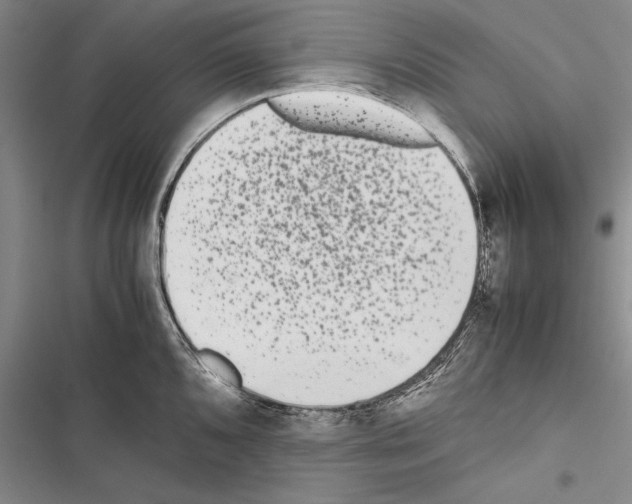 X0000116601096201001221252