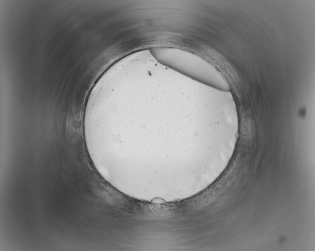 X0000116601097201001221252