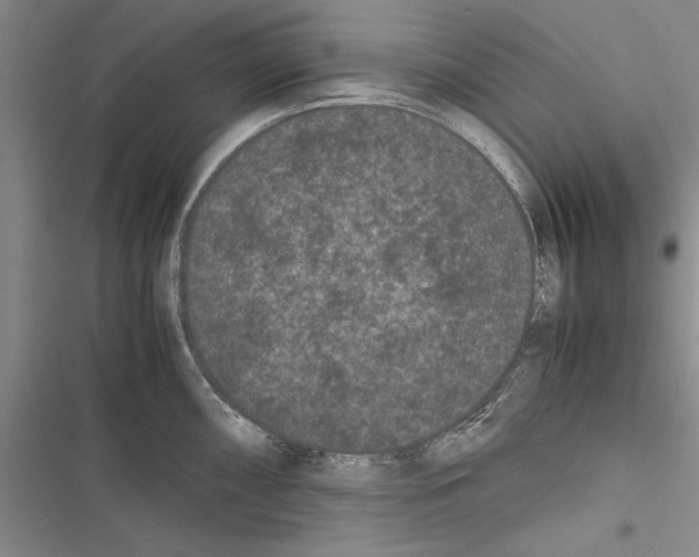 X0000116601098201001221252