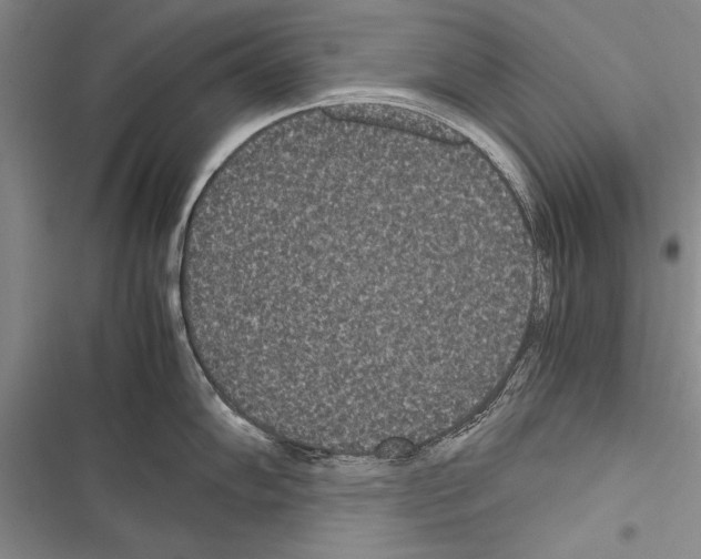 X0000116601102201001221252
