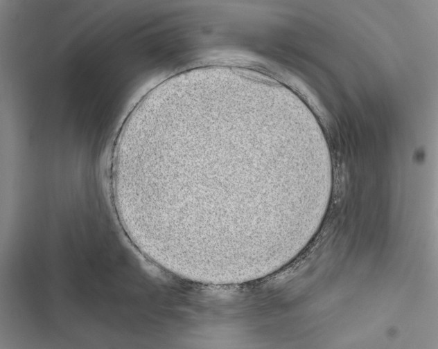 X0000116601103201001221252