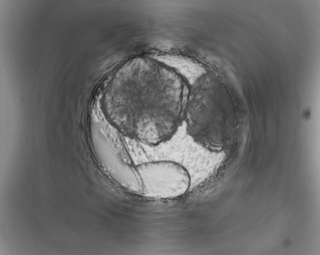 X0000116601105201001221252