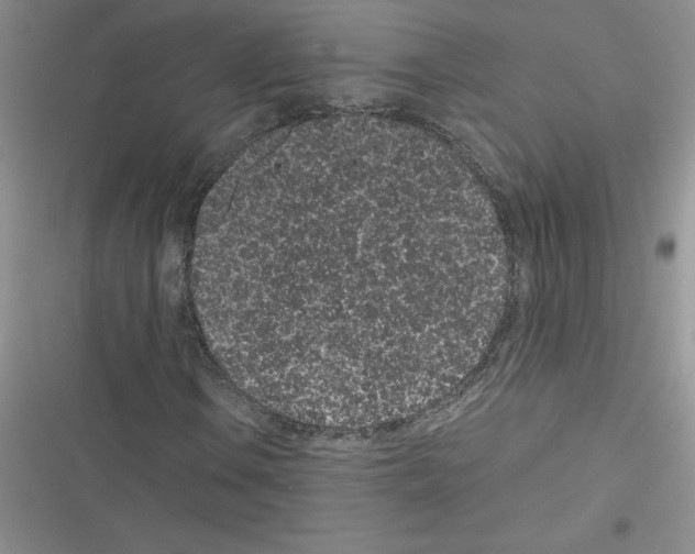 X0000116601106201001221252