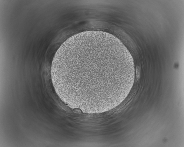 X0000116601107201001221252