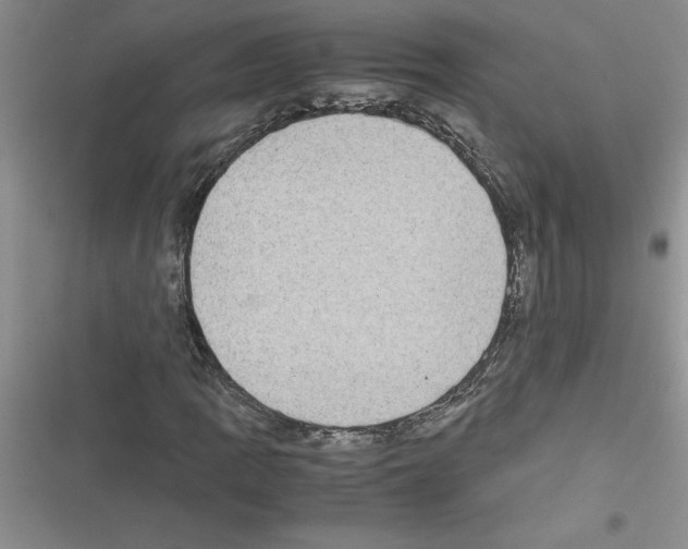 X0000116601109201001221252