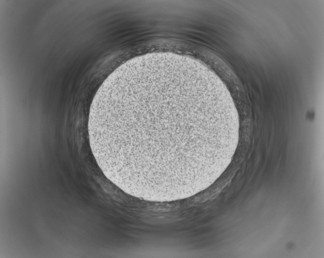 X0000116601111201001221252