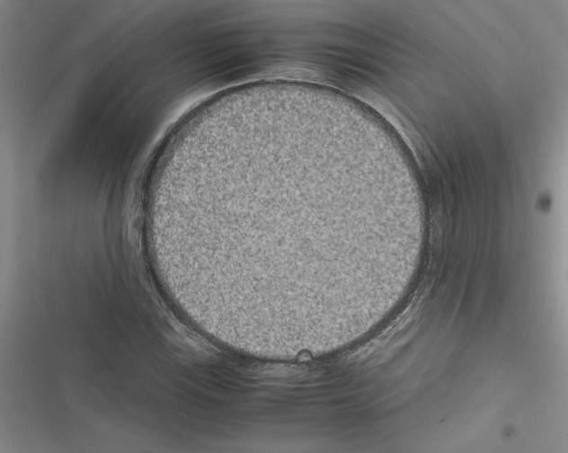 X0000116601115201001221252