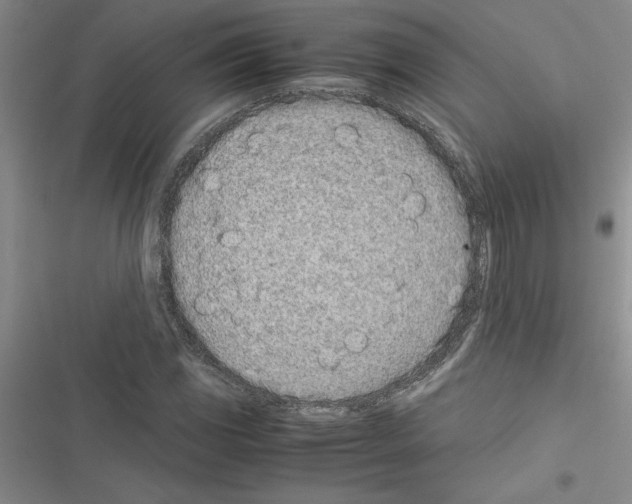 X0000116601117201001221252