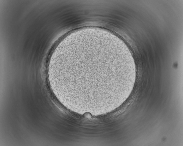 X0000116601119201001221252
