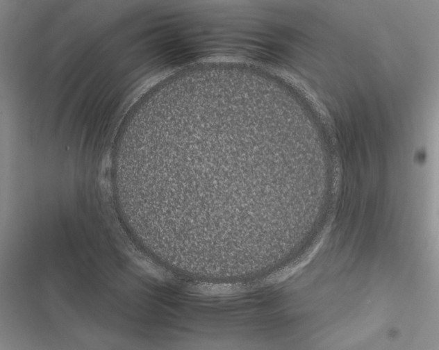 X0000116601121201001221252