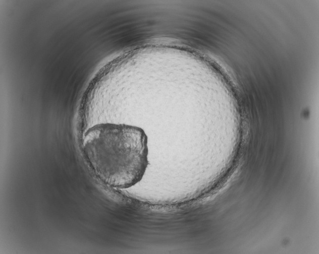 X0000116601125201001221252
