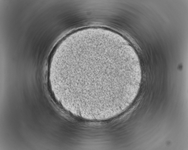 X0000116601126201001221252