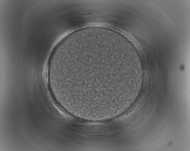 X0000116601127201001221252