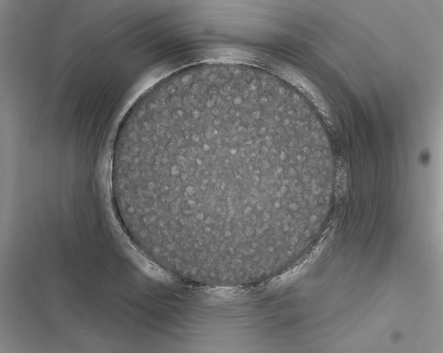 X0000116601130201001221252