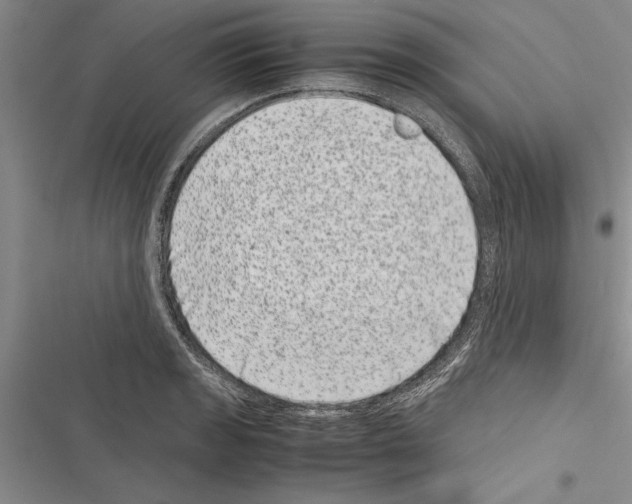 X0000116601133201001221252