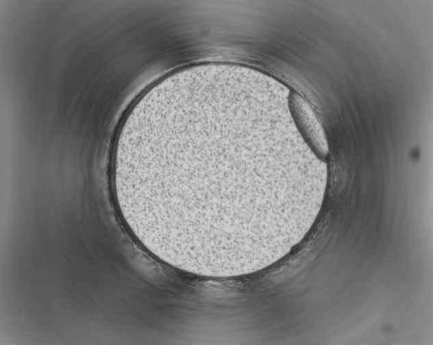 X0000116601138201001221252