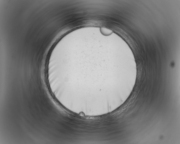 X0000116601139201001221252