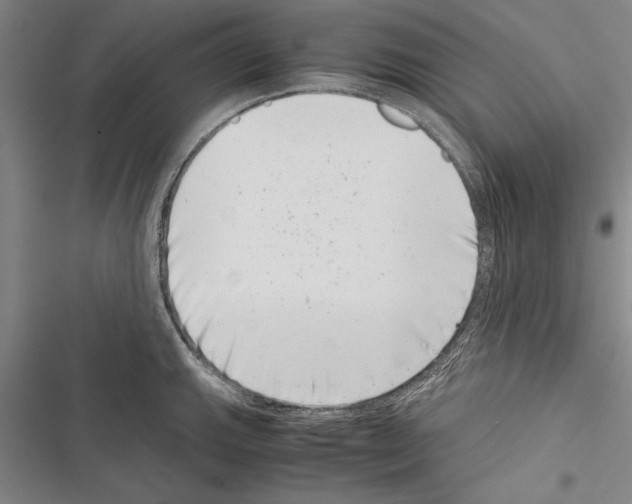 X0000116601143201001221252