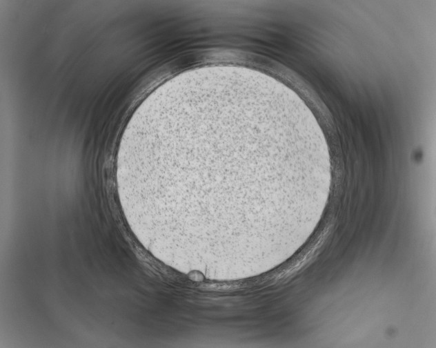 X0000116601145201001221252