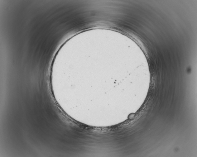X0000116601146201001221252
