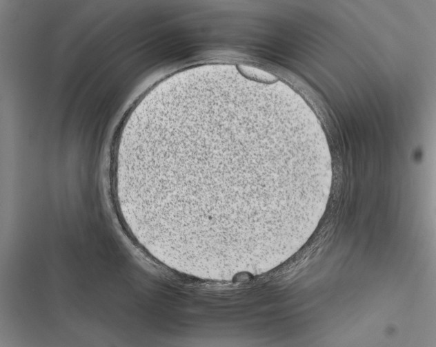 X0000116601147201001221252