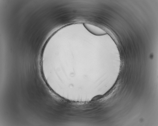 X0000116601149201001221252