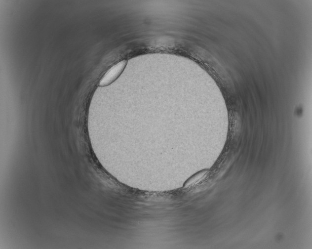 X0000116601153201001221252