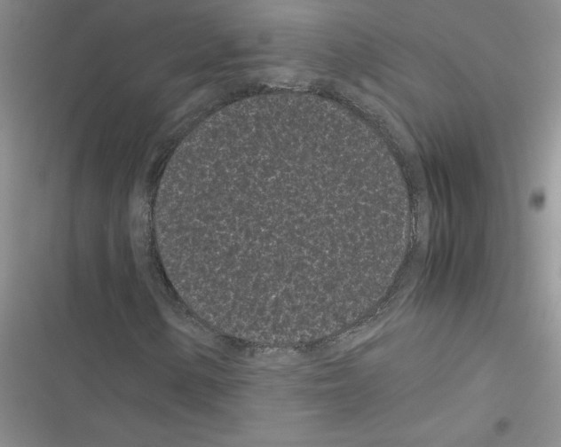 X0000116601154201001221252