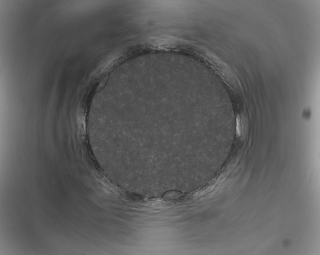 X0000116601155201001221252