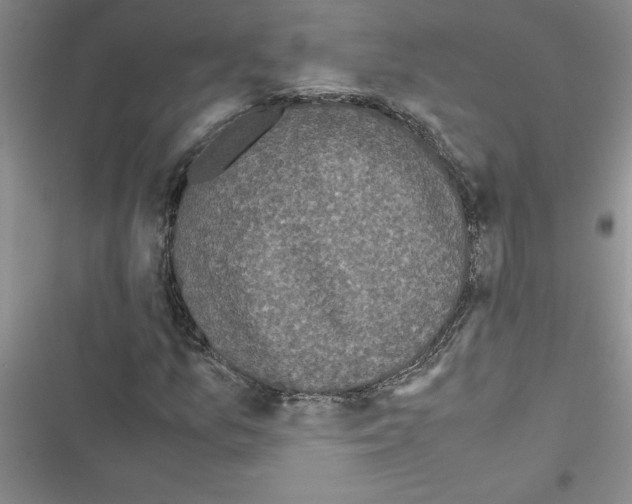 X0000116601157201001221252