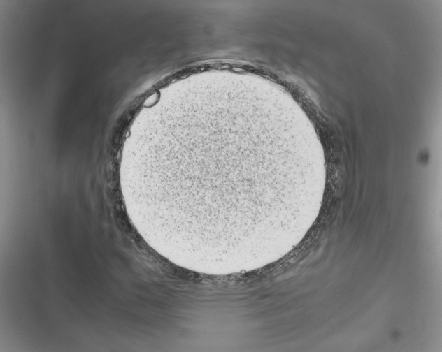 X0000116601159201001221252